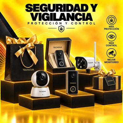 Seguridad y Vigilancia